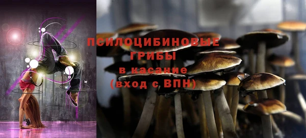 первитин Армянск