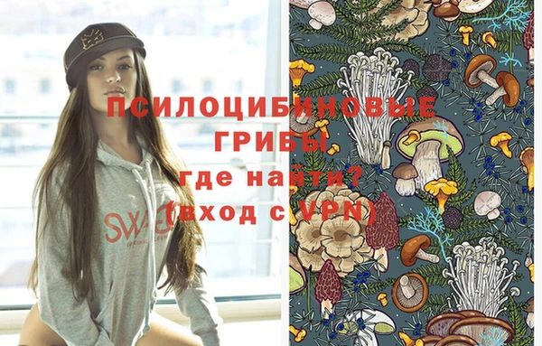гидропоника Арсеньев
