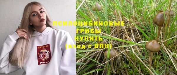 гидропоника Арсеньев
