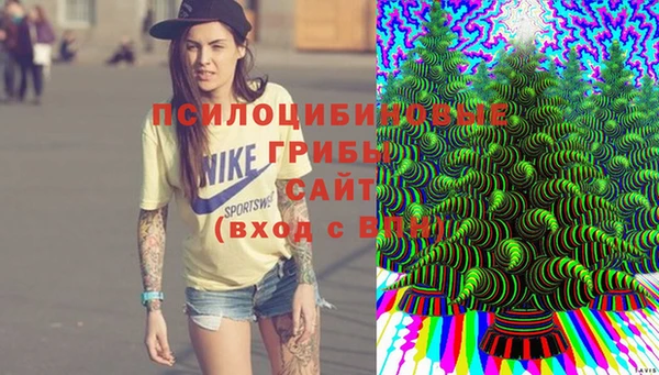 первитин Армянск