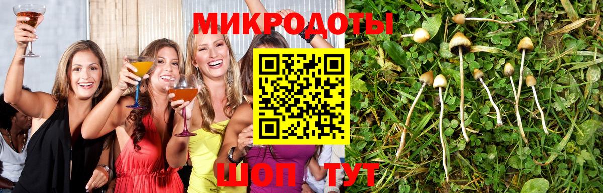 Псилоцибиновые грибы мухоморы Тобольск