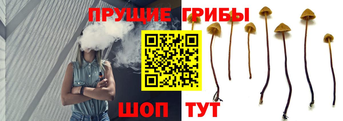 Псилоцибиновые грибы мицелий  Вход с VPN  Галлюциногенные грибы Psilocybe  Тобольск 